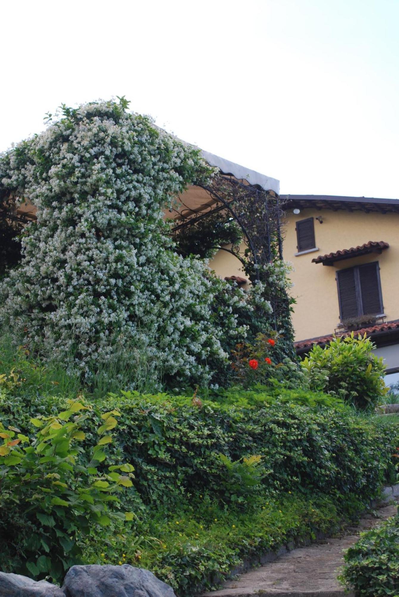 B&B Casa Margot Neive Ngoại thất bức ảnh
